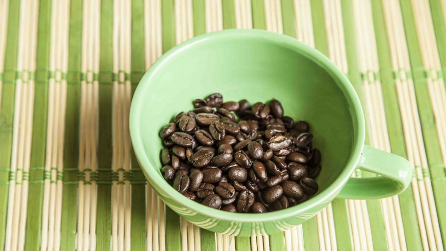 What's That Smell? Cleaning Tips to Combat Household Odors Angie's List